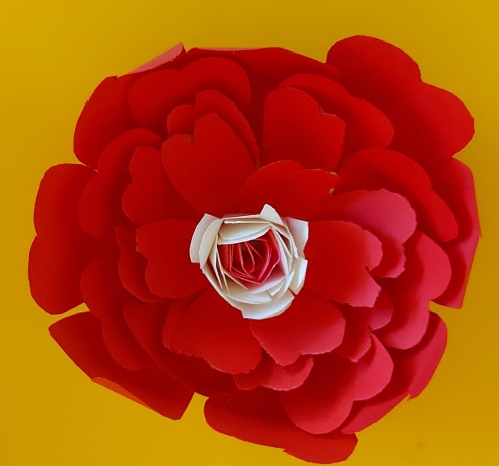 3D陳雅慧 | 2023-08-10 10:27:36